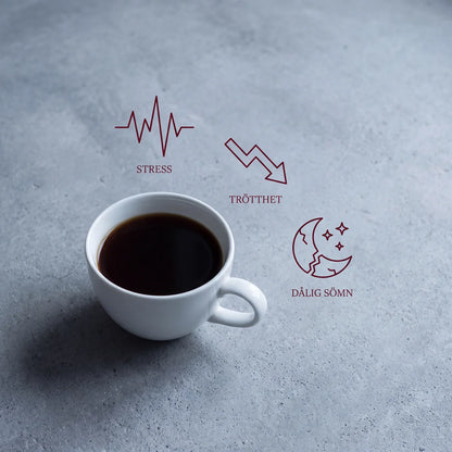 Lumen™ – Klarhet utan koffein